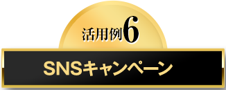 活用例6　SNSキャンペーン